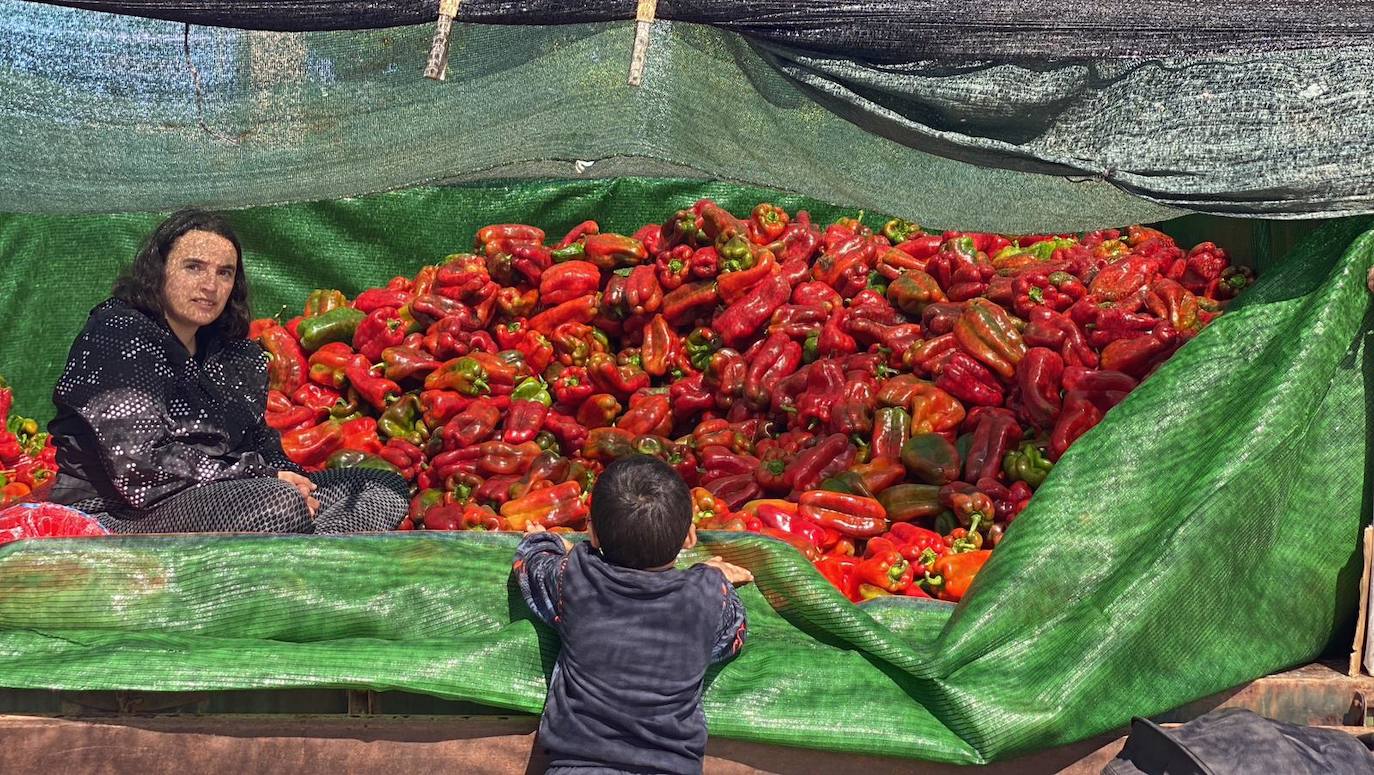 Feria del pimiento y diversos actos de Fresno de la de Vega. 