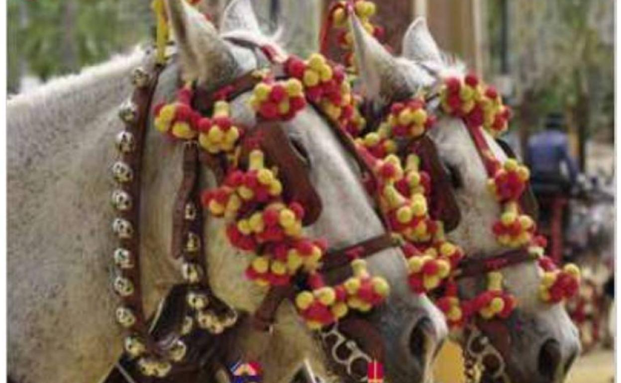 Imagen de caballos andaluces para ilustrar la página de los carros engalanados de León.