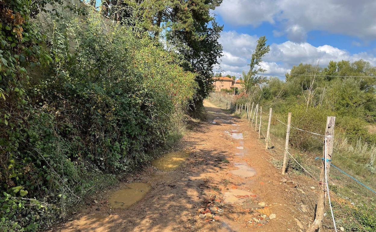La imagen con la que Ciudadanos pide el arreglo de la calle La Veguina en San Andrés del Rabanedo.