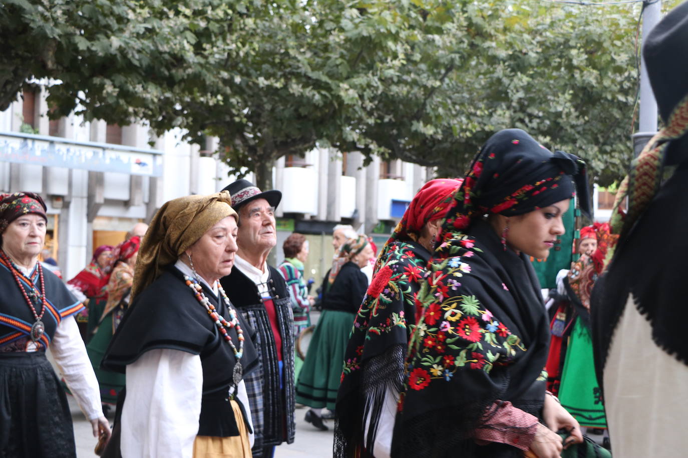 Los grupos tradicionales 'Calecho' y 'Acedera' amenizando a los leoneses con sus bailes tradicionales por San Froilán. 