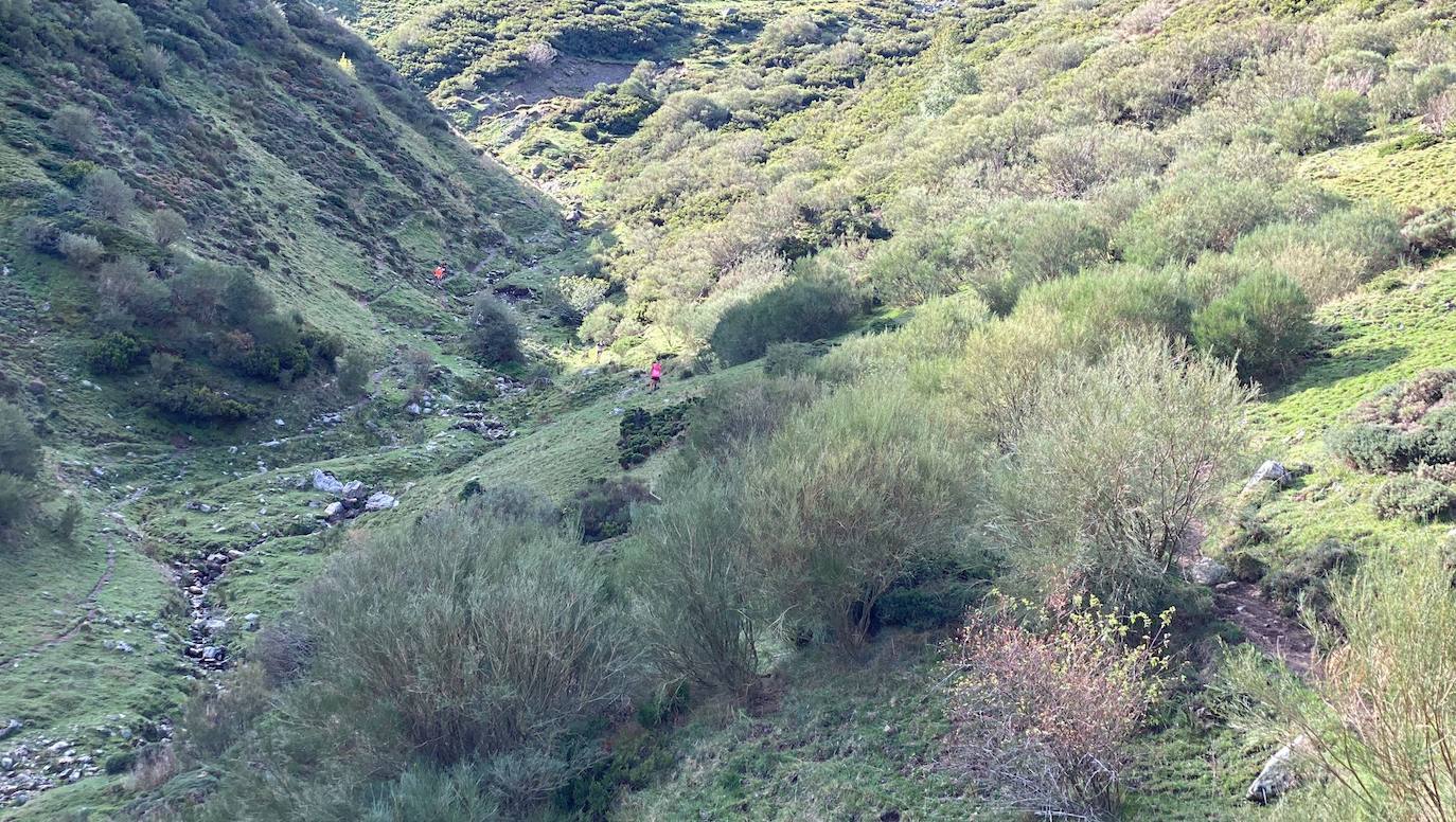 Alrededor de 200 corredores participan en el V Trail de Mampodre.