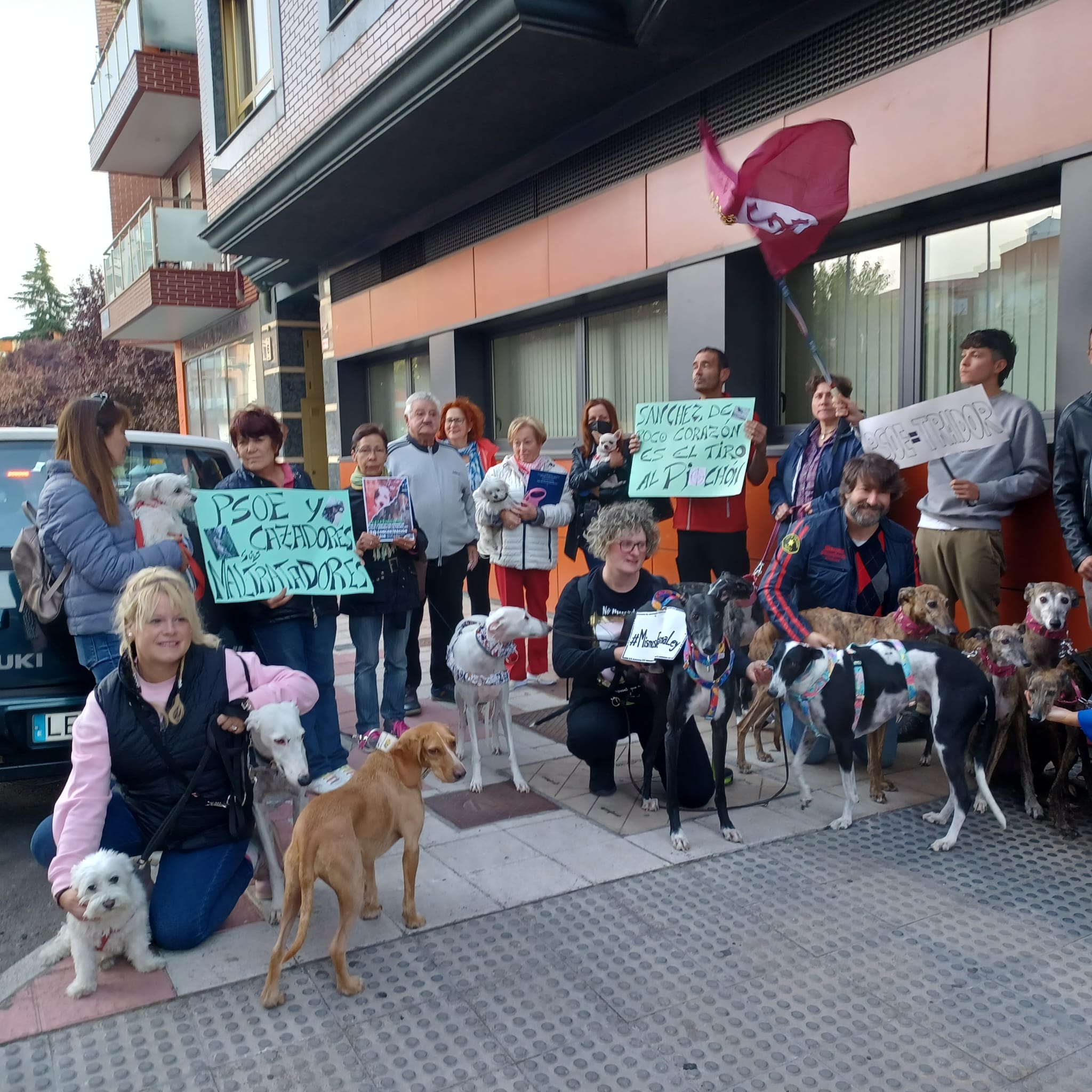 Pacma convoca una movilización en una docena de ciudades de España para exigir que la Ley de Bienestar Animal no excluya a los animales de caza de protección