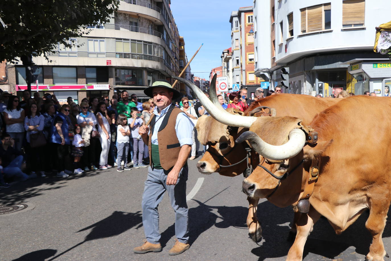 Los carros engalanados toman las calles de León.