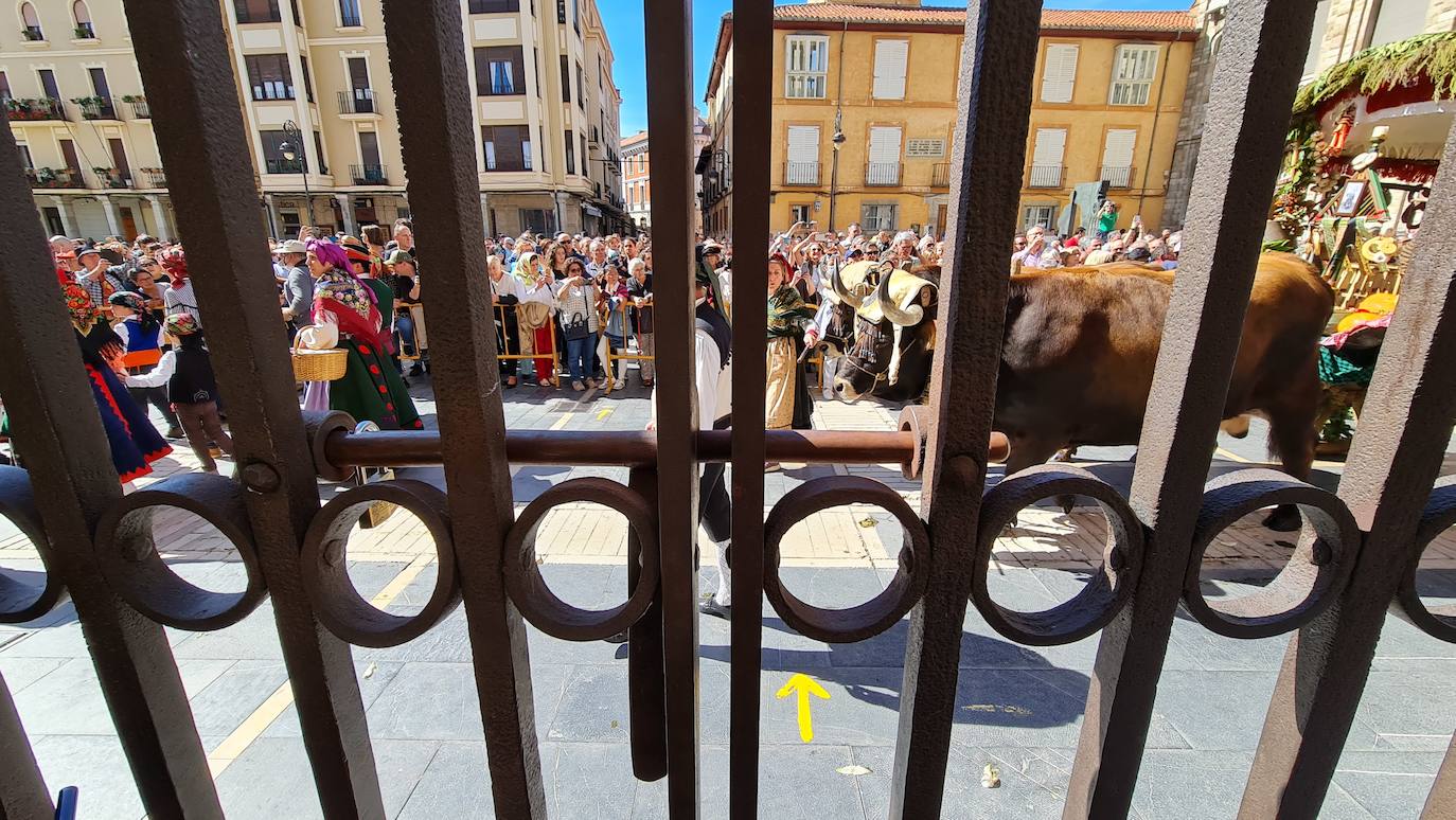 El resumen visual de la jornada de San Froilán en 60 imágenes a pide de calle. León se deja ver abarrotado en la antesala de una nueva cita tradicional, en esta ocasión en el alfoz de la capital. 