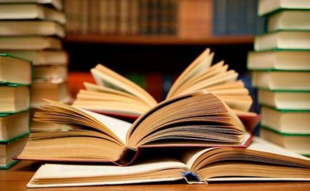 El plan de lectura va destinado a todo tipo de centros escolares.