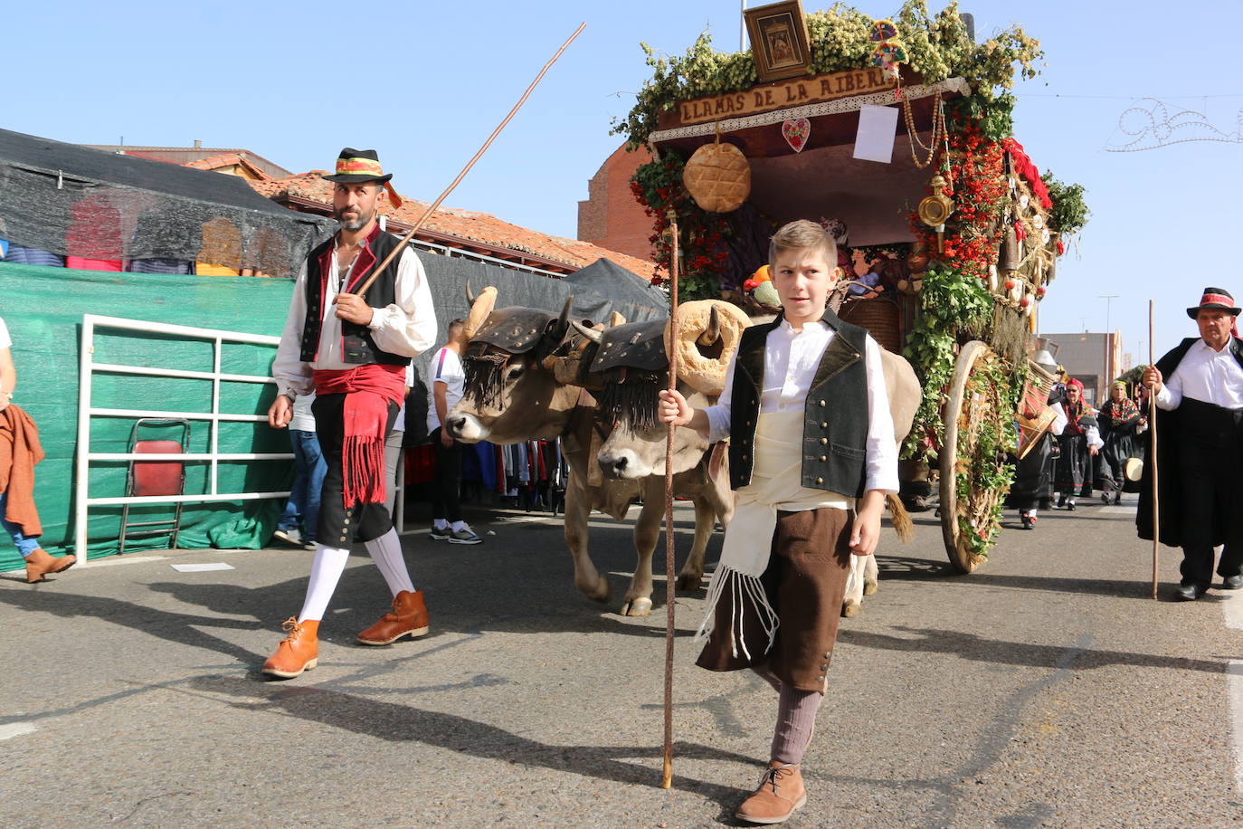 Desfile de pendones y carros engalanados en la romería de San Froilán. 