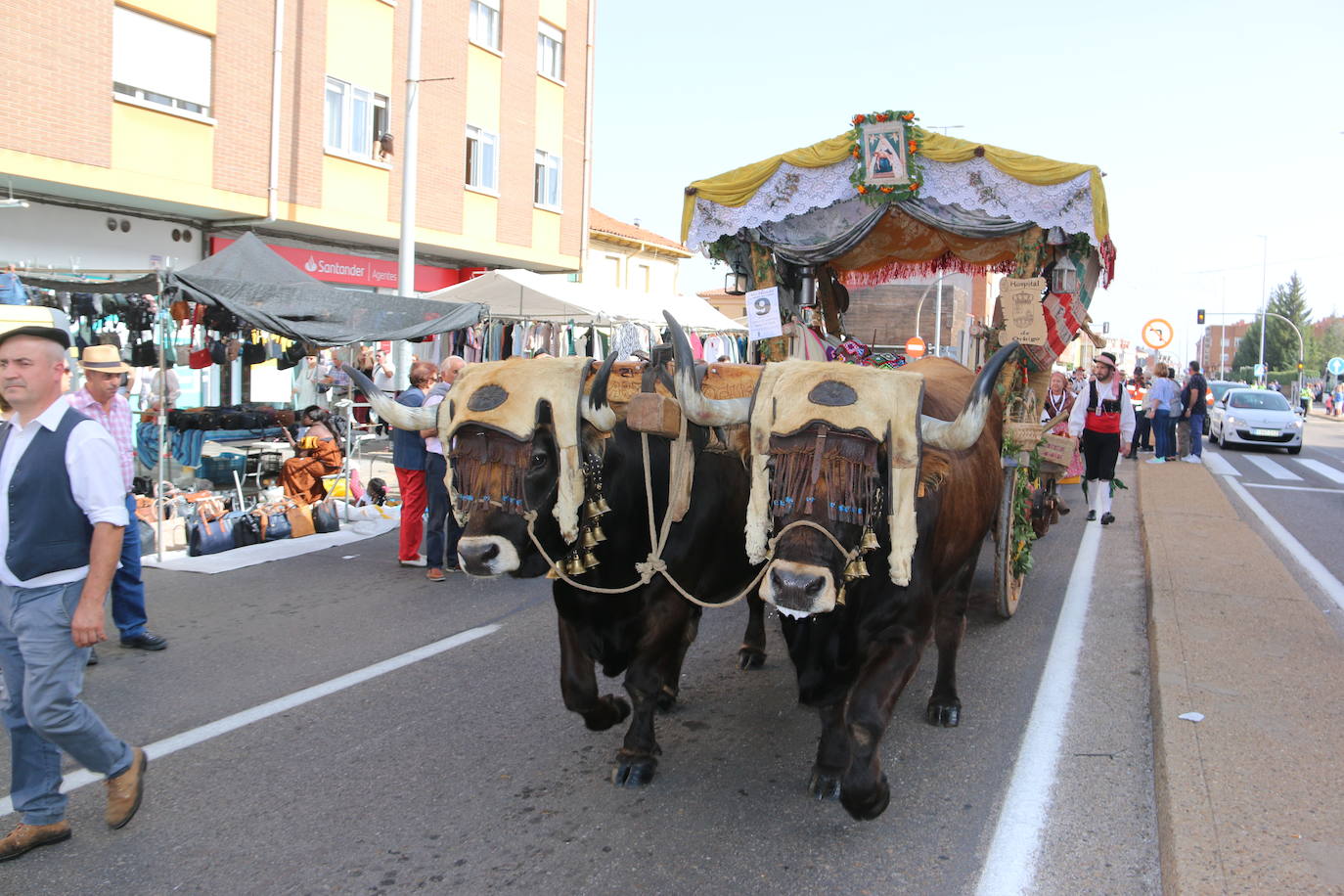 Desfile de pendones y carros engalanados en la romería de San Froilán. 