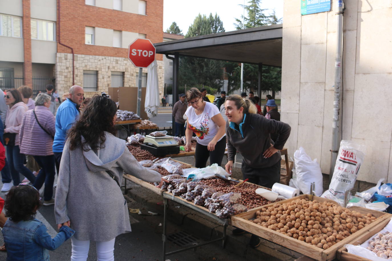 Diversos puestos de avellanas en el mercado de La Virgen del Camino. 