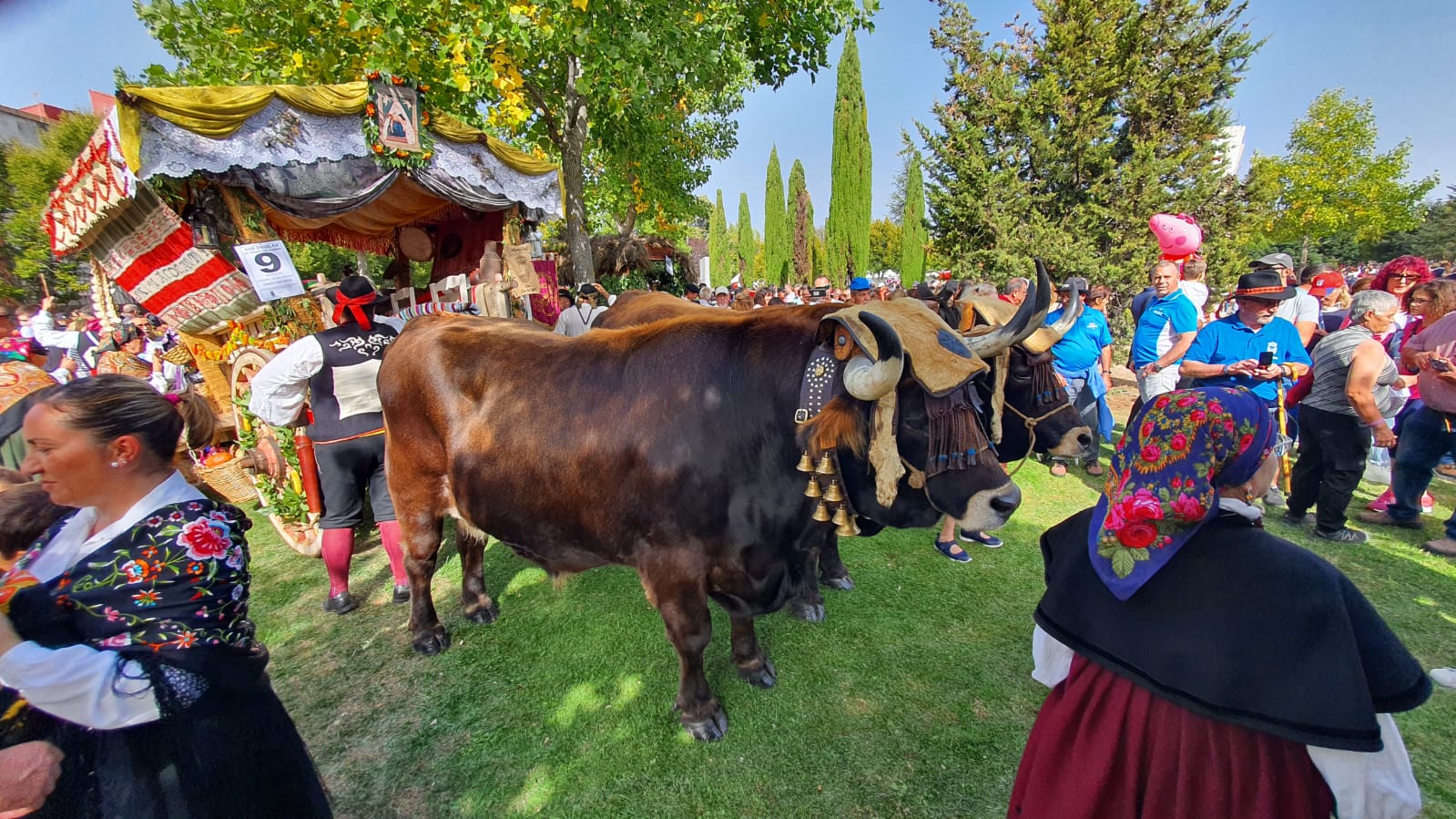 Pendones, carros engalanados y más de 50.000 romeros protagonizan el gran día de las festividades de San Froilán