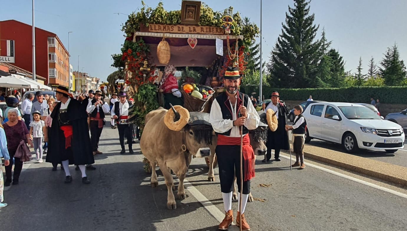 Pendones, carros engalanados y más de 50.000 romeros protagonizan el gran día de las festividades de San Froilán