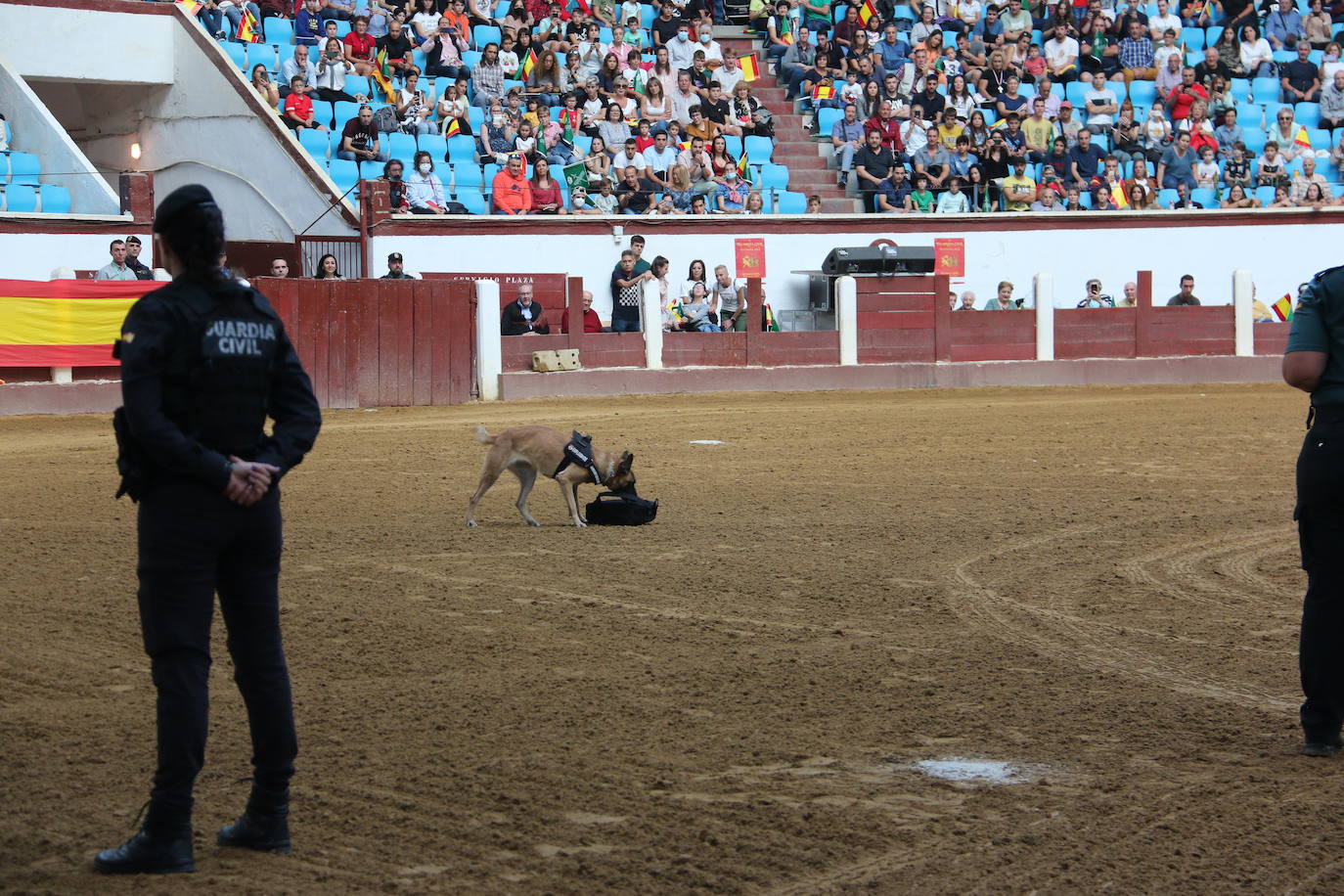 Demostración de procedimientos de actuación de la Guardia Civil en la Plaza de Toros de León