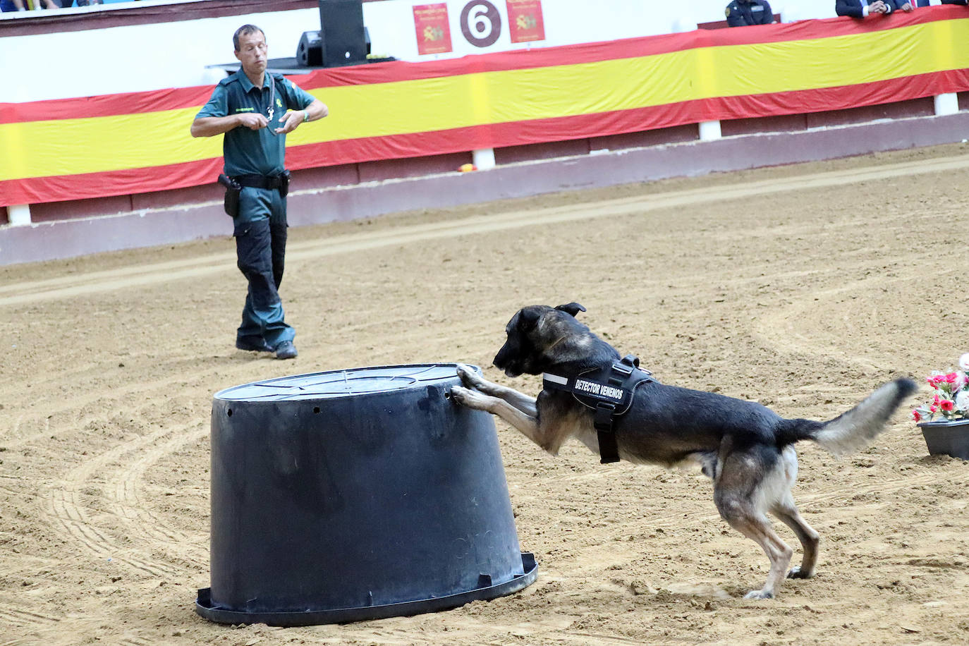 Demostración de procedimientos de actuación de la Guardia Civil en la Plaza de Toros de León