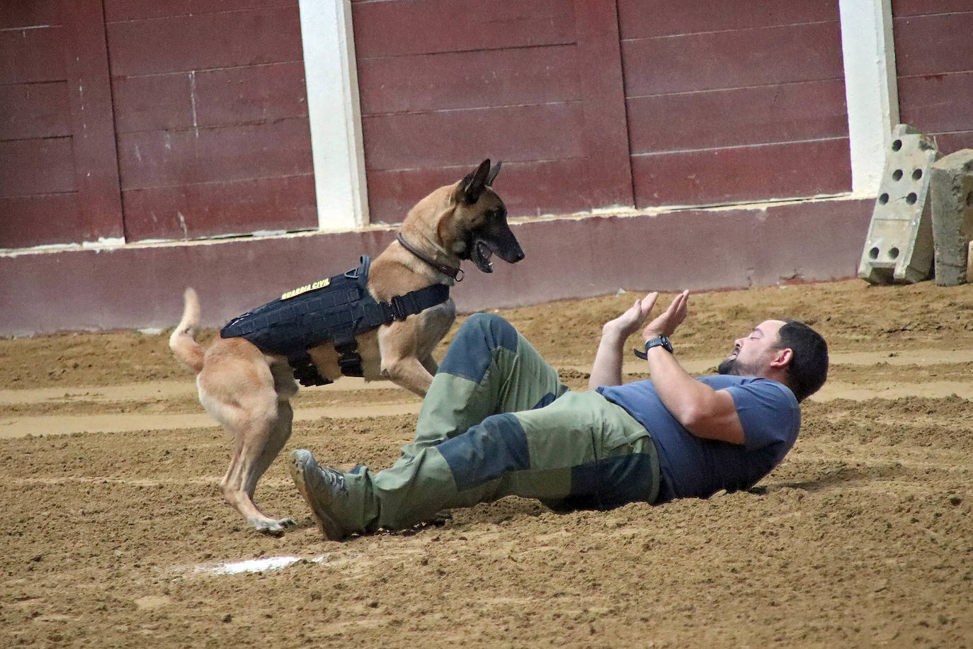 Demostración de procedimientos de actuación de la Guardia Civil en la Plaza de Toros de León