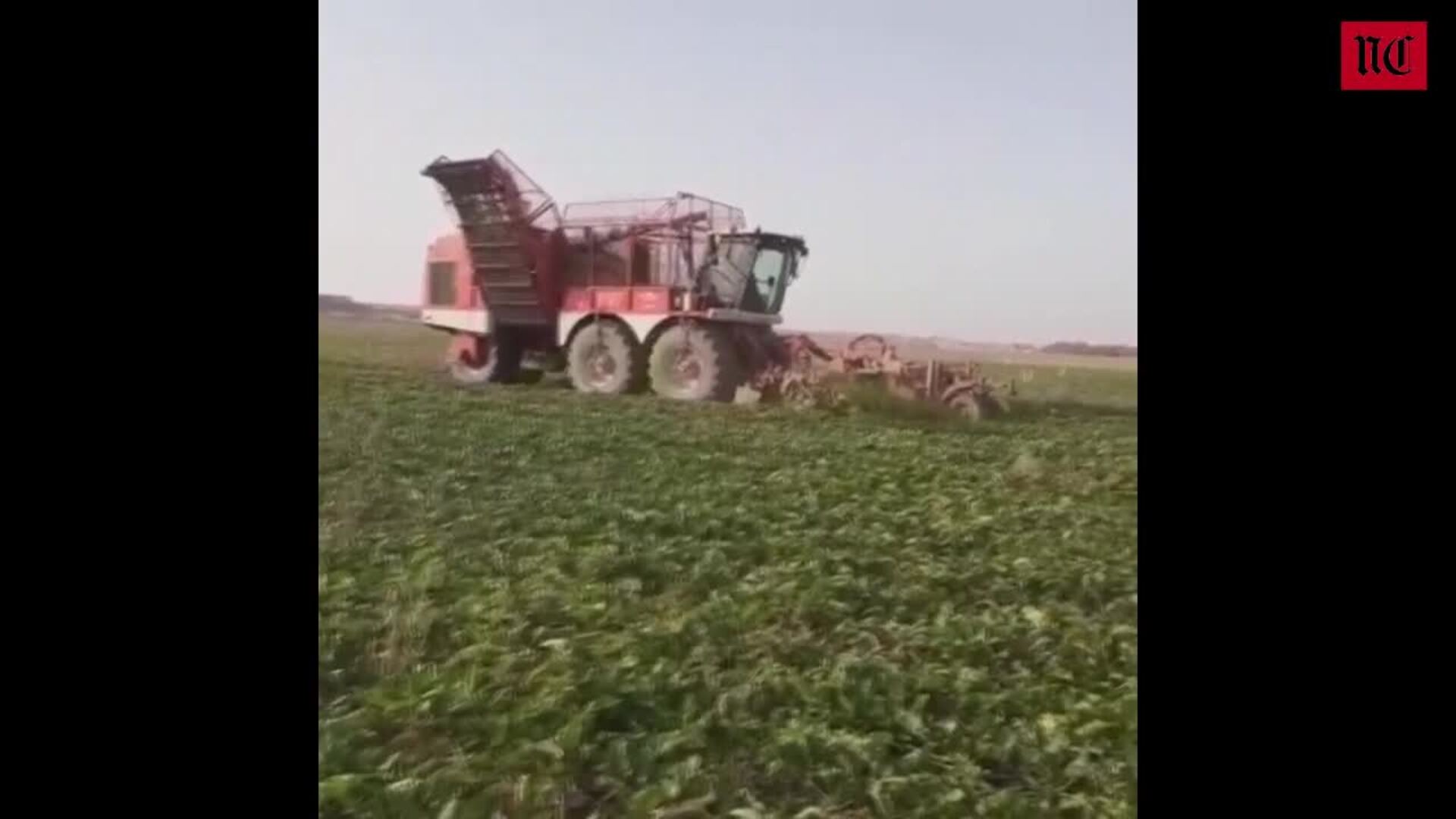 El tiempo esta semana en Castilla y León: a la espera de los anunciados chubascos