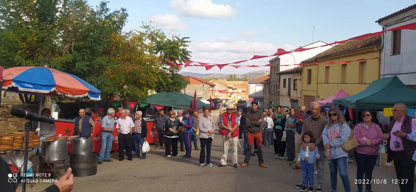 Castrocontrigo celebra su tradicional Feria de Octubre. 