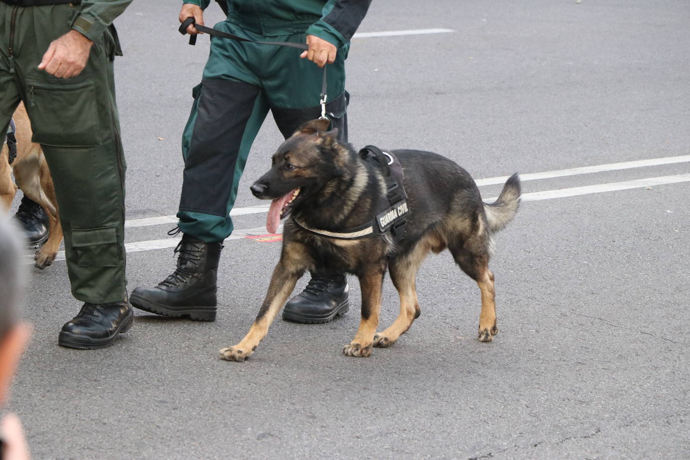 Acto central de la semana institucional de la Guardia Civil en León. 