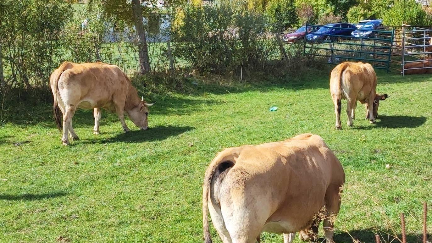 La localidad celebra su tradicional feria de octubre 