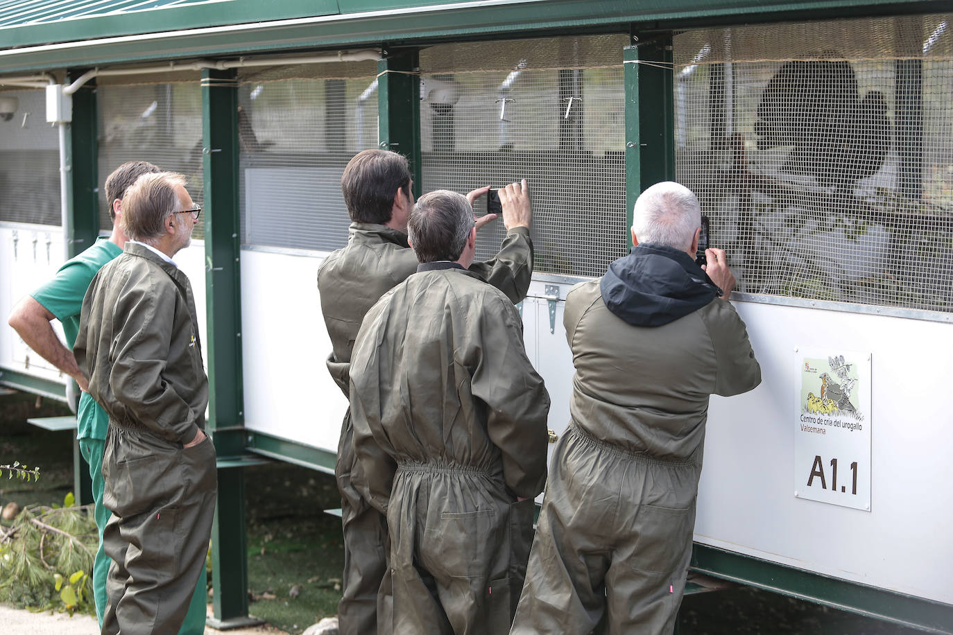 El consejero de Medio Ambiente, Vivienda y Ordenación del Territorio, Juan Carlos Suárez-Quiñones, visita el Centro de Cría del Urogallo de Valsemana.