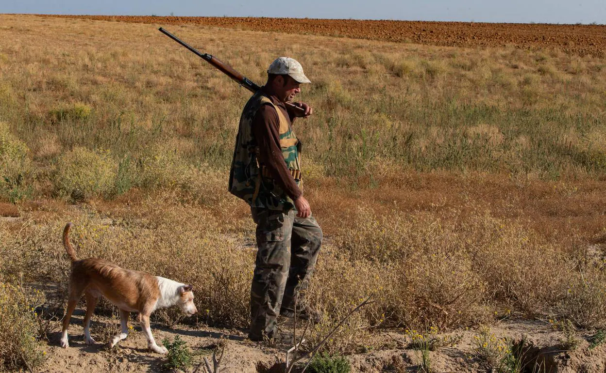 animalistas concentrarán en León y Ponferrada para exigir protección los perros de caza | leonoticias.com