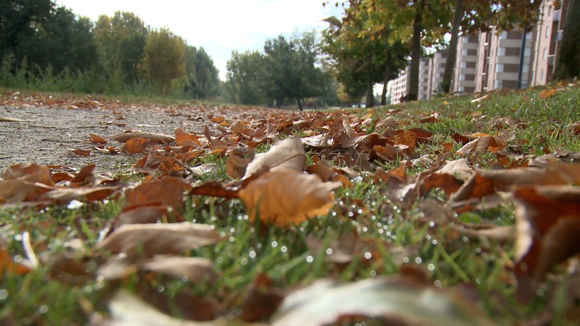 Fotos: El otoño cubre parques y jardines en la ciudad