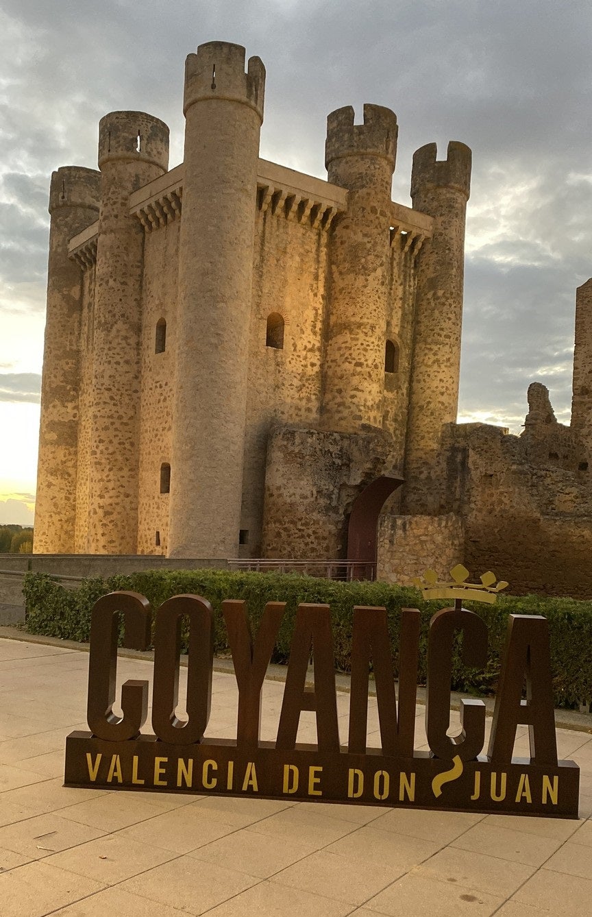 Diseñadas por el coyantino Jorge Barrientos, se han ubicado en el jardín del Castillo y con ellas se pretende que los vecinos sientan orgullo de su localidad y los visitantes tengan un bonito recuerdo de Valencia de Don Juan con la torre del homenaje de fondo.