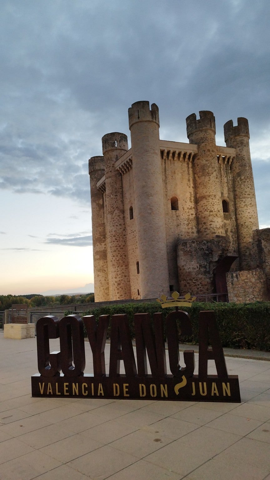 Diseñadas por el coyantino Jorge Barrientos, se han ubicado en el jardín del Castillo y con ellas se pretende que los vecinos sientan orgullo de su localidad y los visitantes tengan un bonito recuerdo de Valencia de Don Juan con la torre del homenaje de fondo.