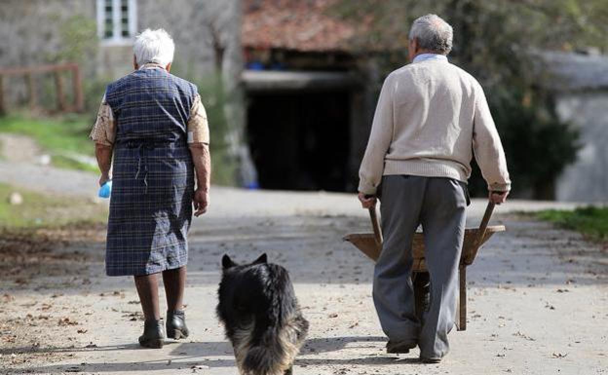 La sangría poblacional se cebará con León en los próximos 15 años según el INE.