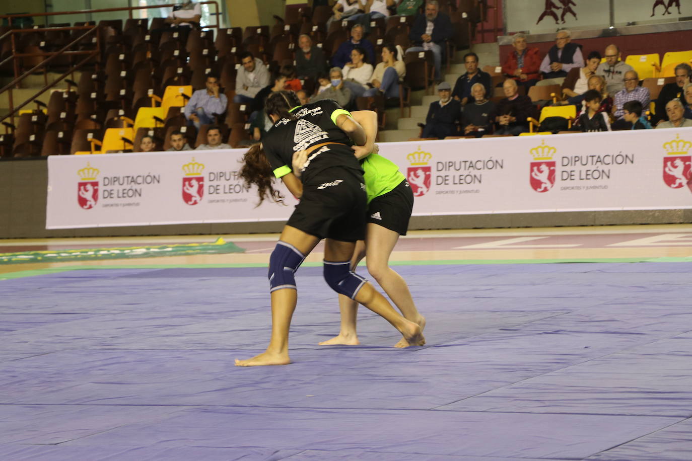 Corro de lucha leonesa en el Palacio de los Deporte.