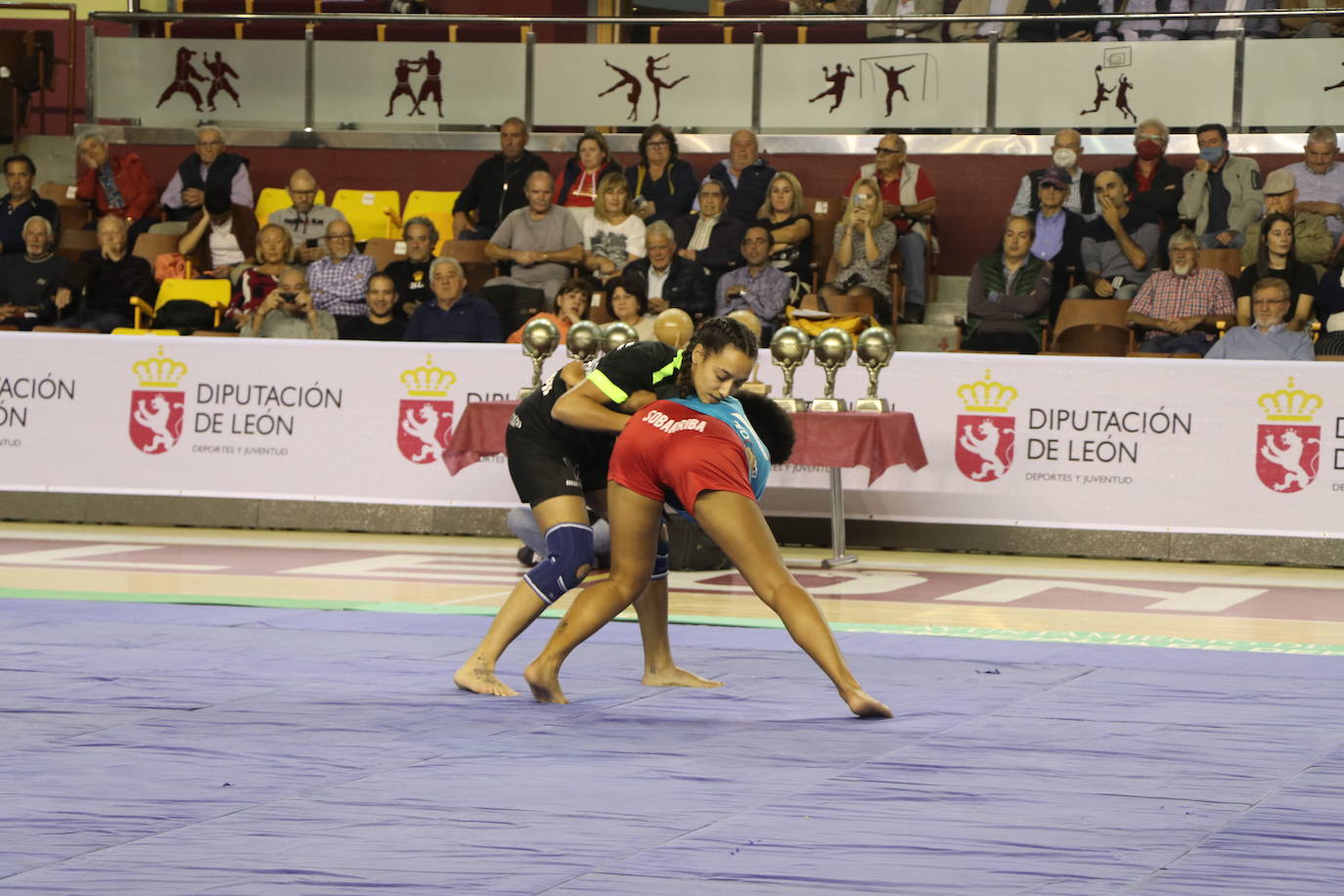 Corro de lucha leonesa en el Palacio de los Deporte.