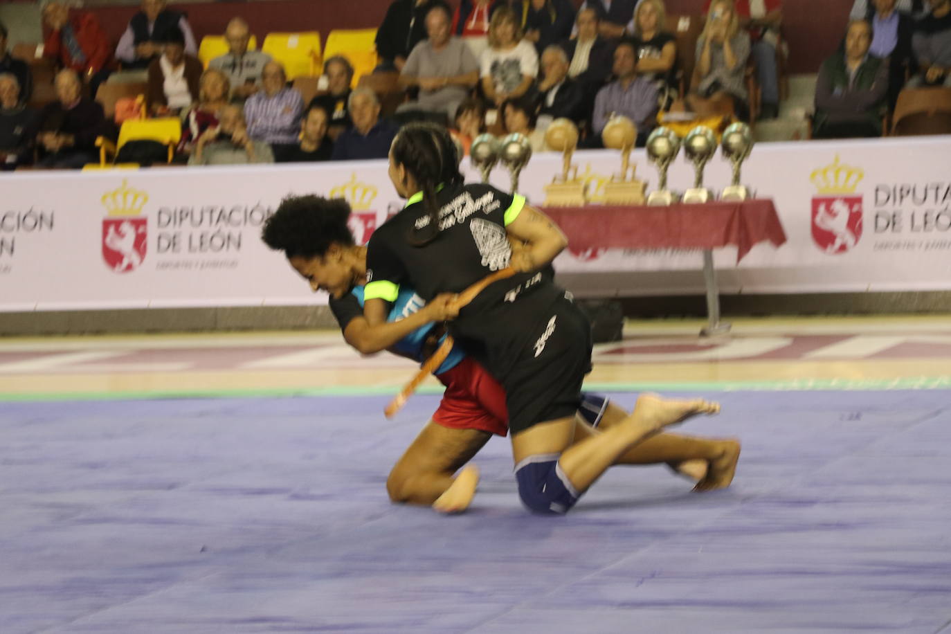 Corro de lucha leonesa en el Palacio de los Deporte.