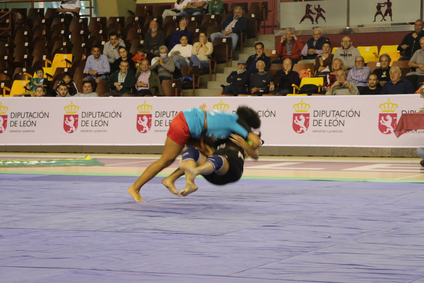 Corro de lucha leonesa en el Palacio de los Deporte.