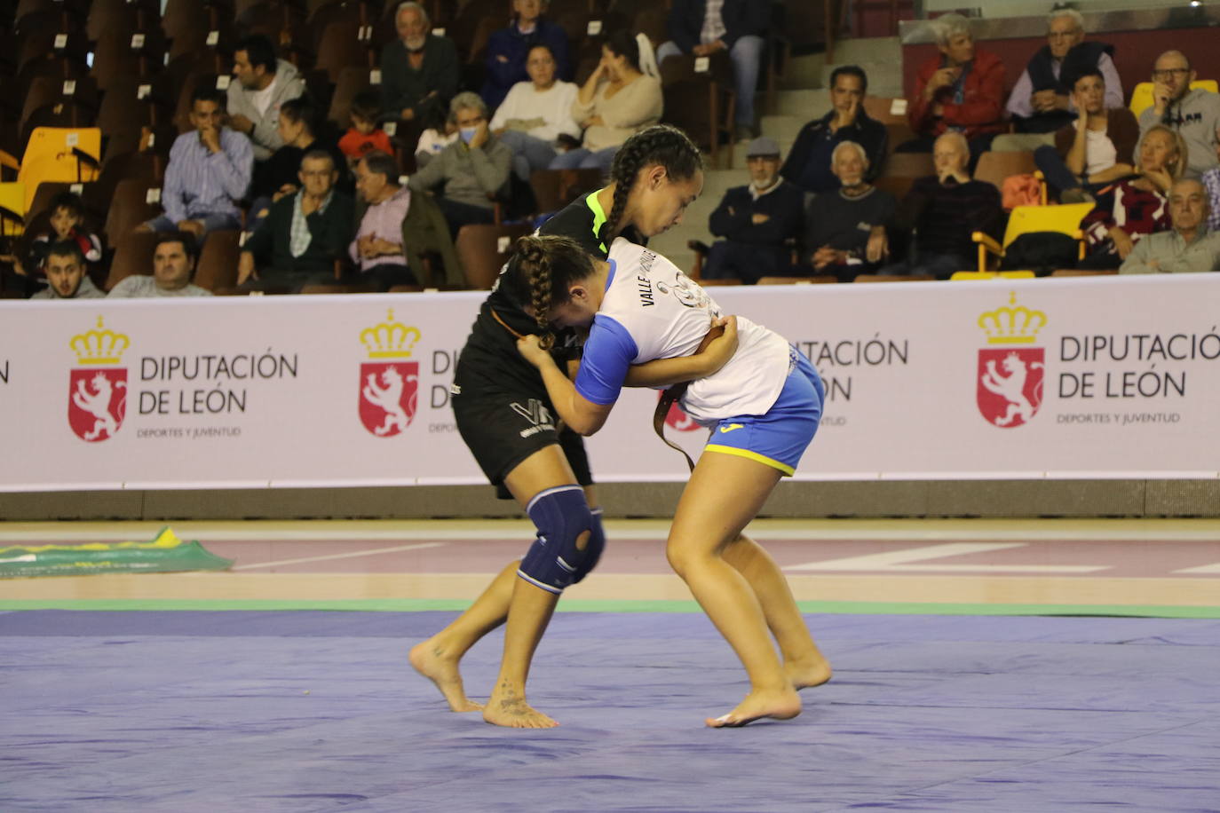 Corro de lucha leonesa en el Palacio de los Deporte.