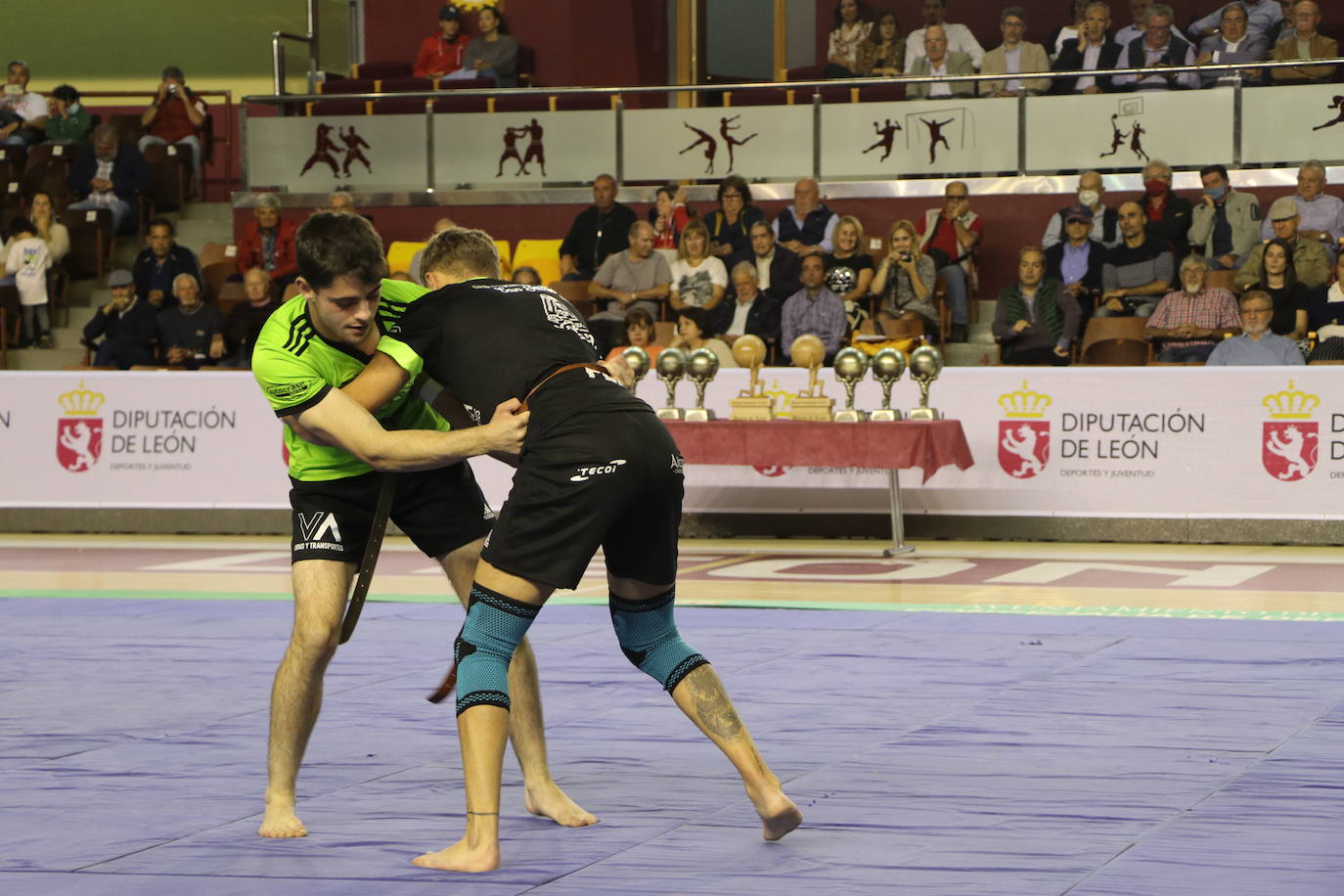 Corro de lucha leonesa en el Palacio de los Deporte.