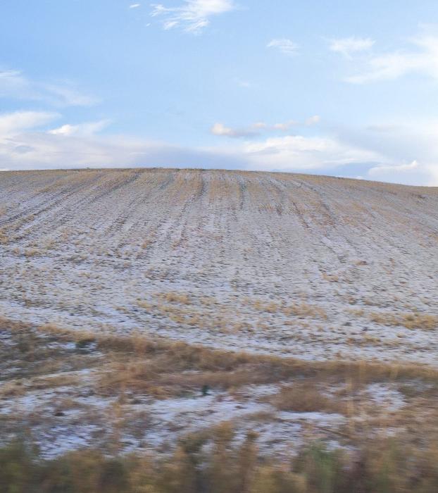 Imagen del campo en la zona de Zalamillas 'inundado' por el paso de la tormenta de granizo. 