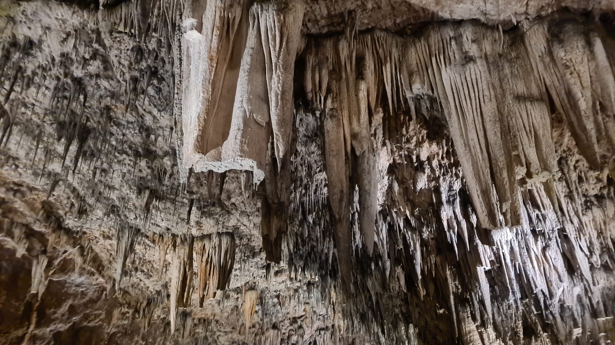 Fotos: Visita a las cuevas de Valporquero