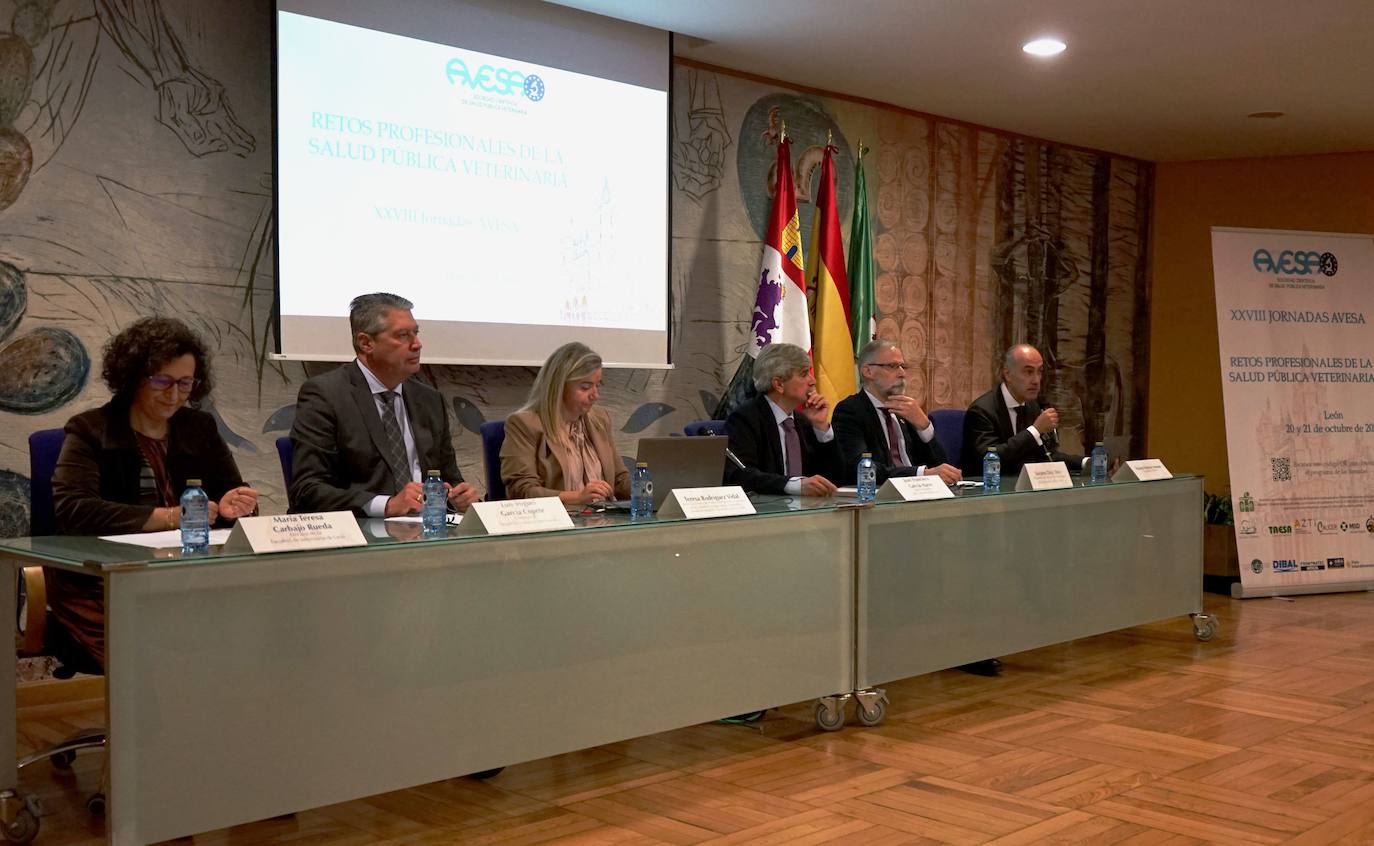 Organizadas por la Asociación de Veterinarios Especialistas en Seguridad Alimentaria, reúne este jueves y viernes en León a profesionales expertos en salud animal y humana