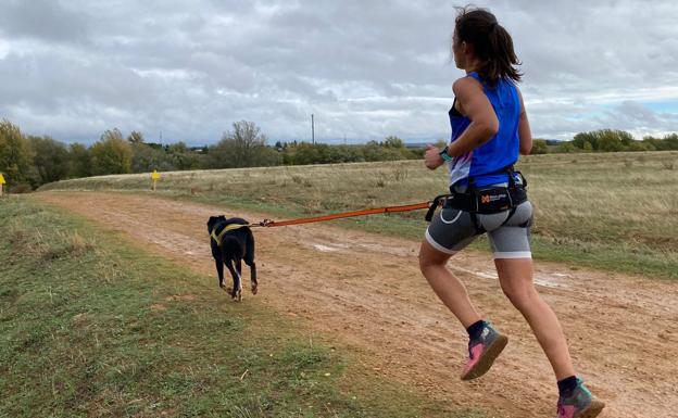 Galería. La perfecta comunión entre atleta y perro marca la diferencia en el mushing.