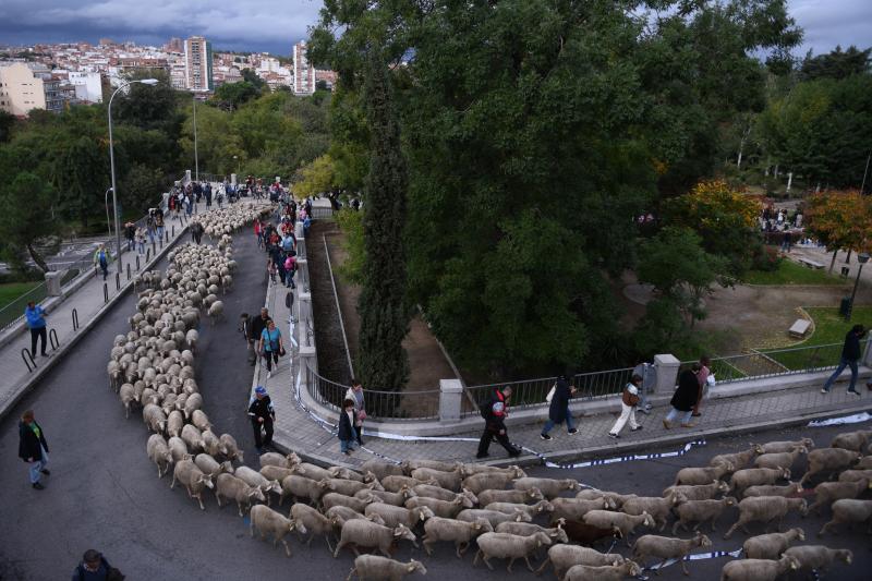 Ambiente durante la XXIX Fiesta de la Trashumancia por las calles de Madrid, este domingo