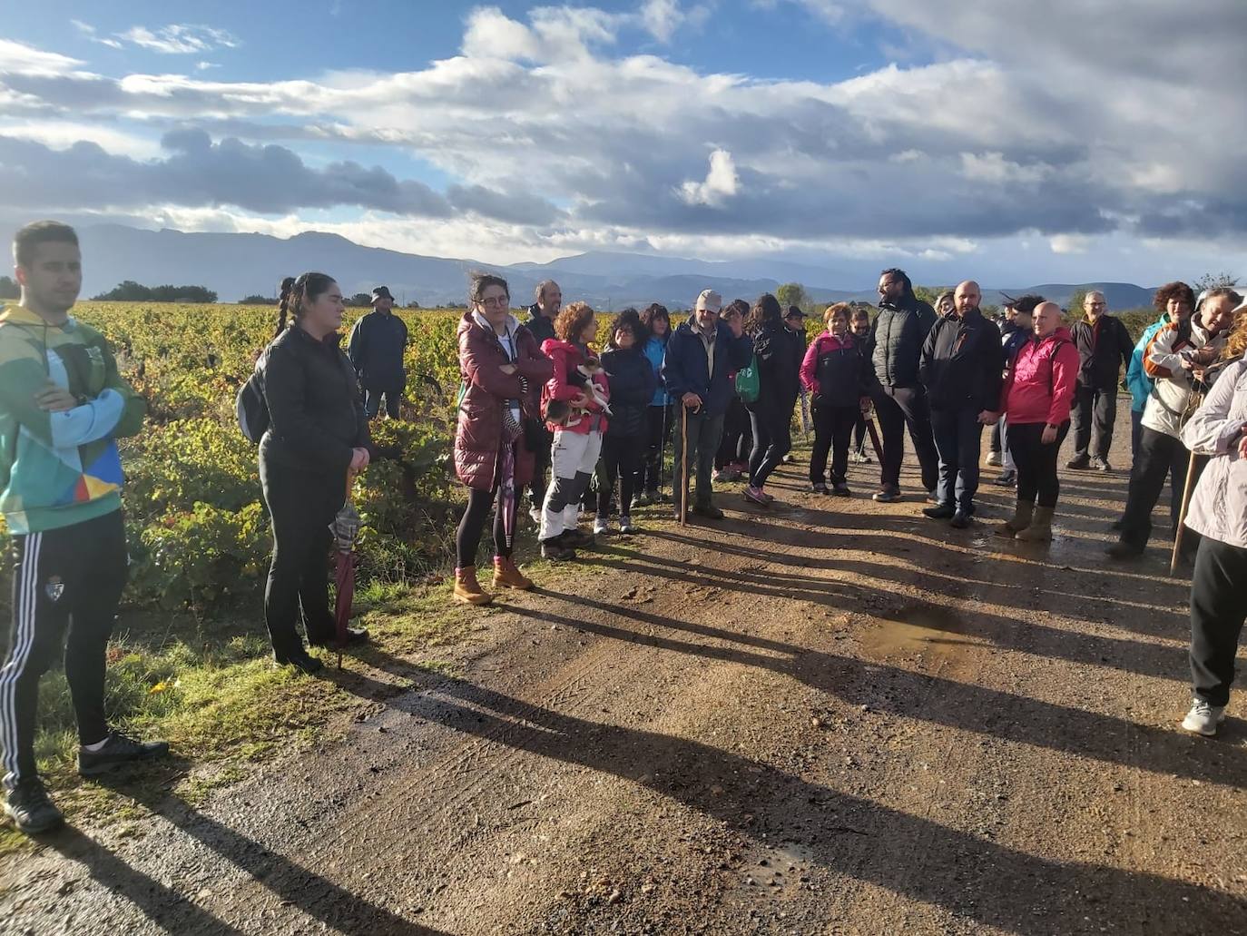 Fotos: Una ruta por los viñedos de El Bierzo