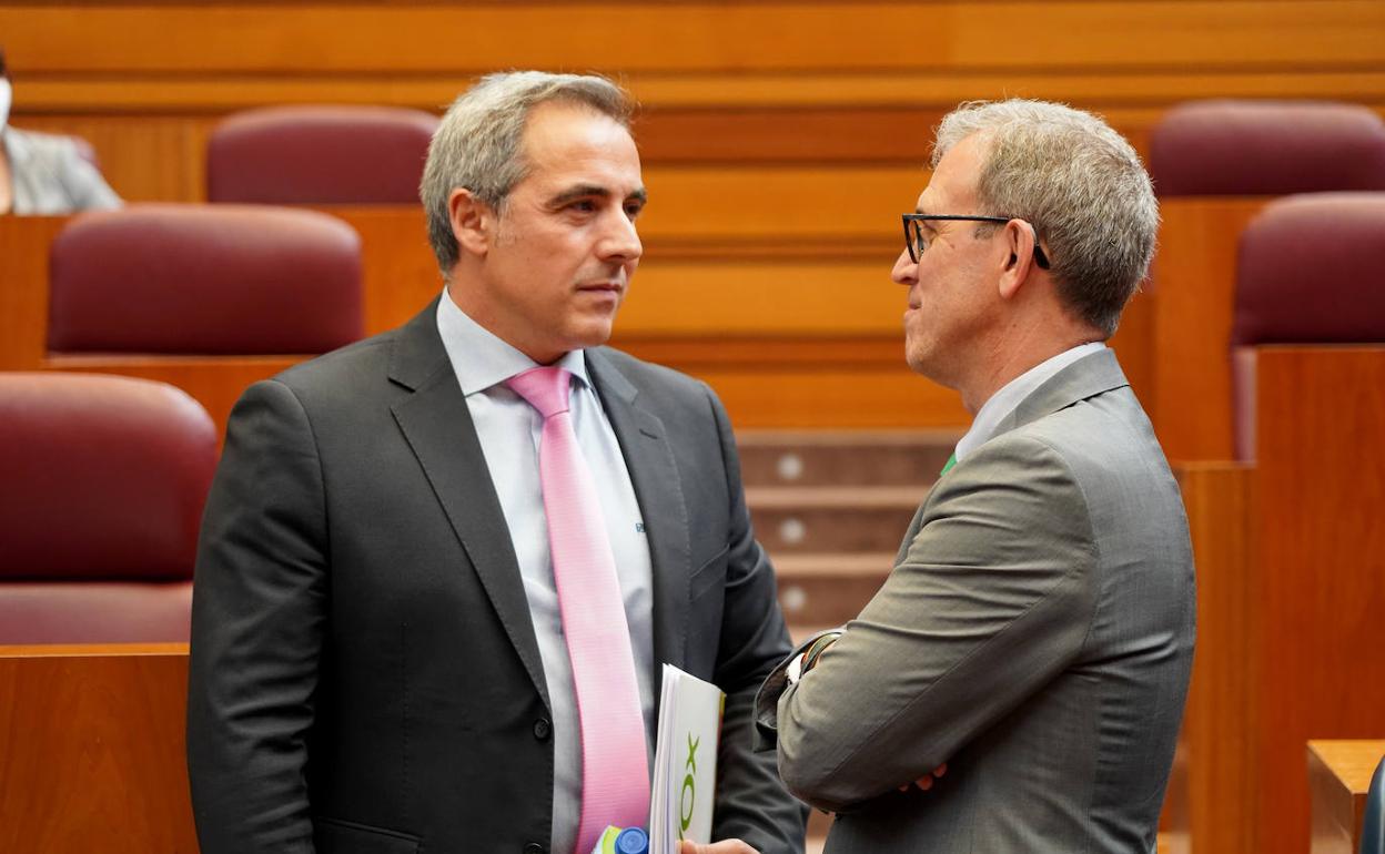 El consejero de Industria, Comercio y Empleo, Mariano Veganzones, conversa con el procurador de Vox José Antonio Palomo durante el Pleno de las Cortes de Castilla y León.