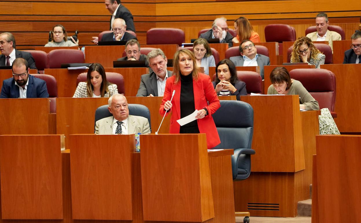 La consejera de Educación, Rocío Lucas, durante su intervención en el Pleno de las Cortes de Castilla y León. 