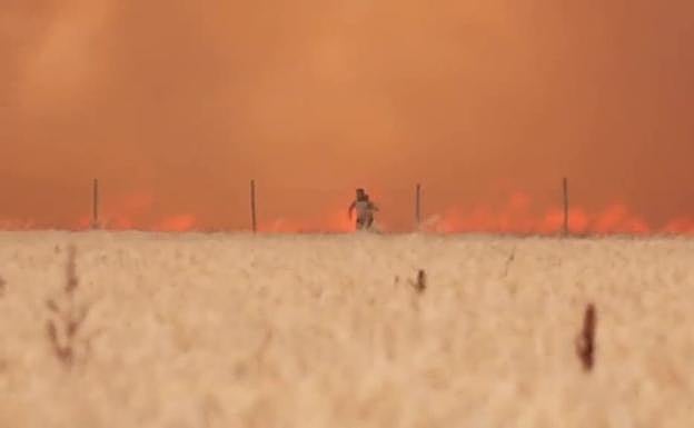 Incendio en la sierra de la Culebra este pasado verano. En la imagen el vecino abandona el lugar del fuego con sus ropas quemadas por las llamas.
