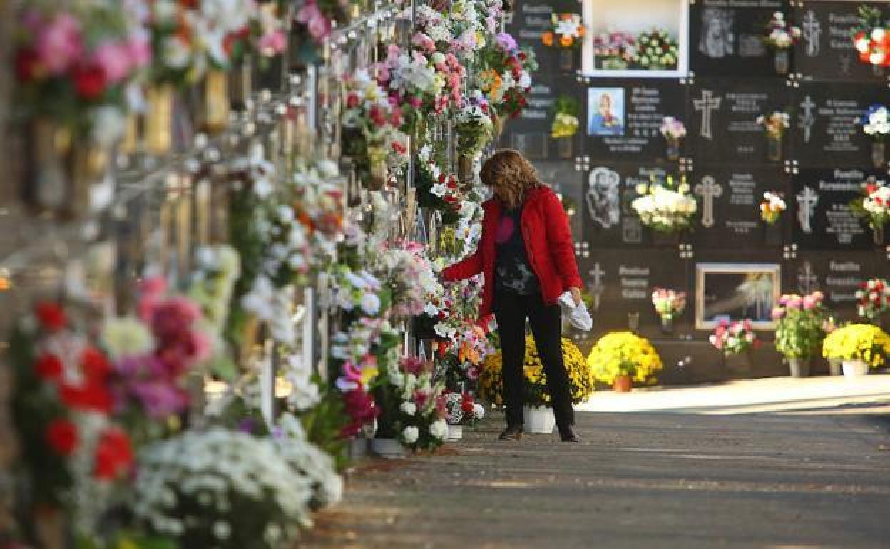 Flores en el cementerio de Ponferrada. 