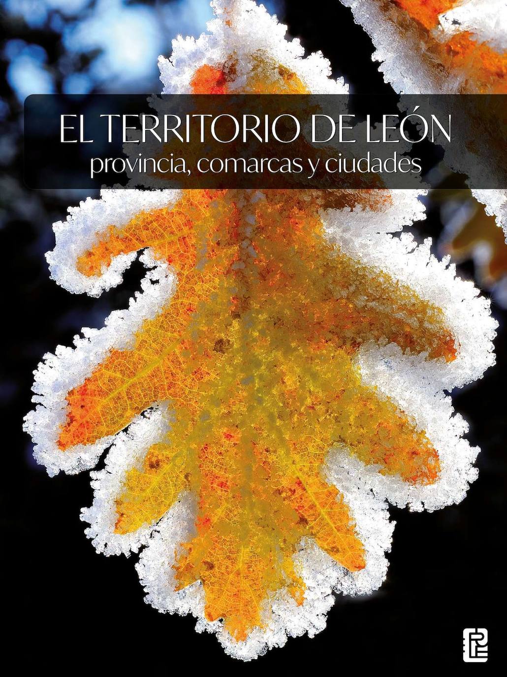 Presentación del libro 'El territorio de León: provincia, comarcas y ciudades'.