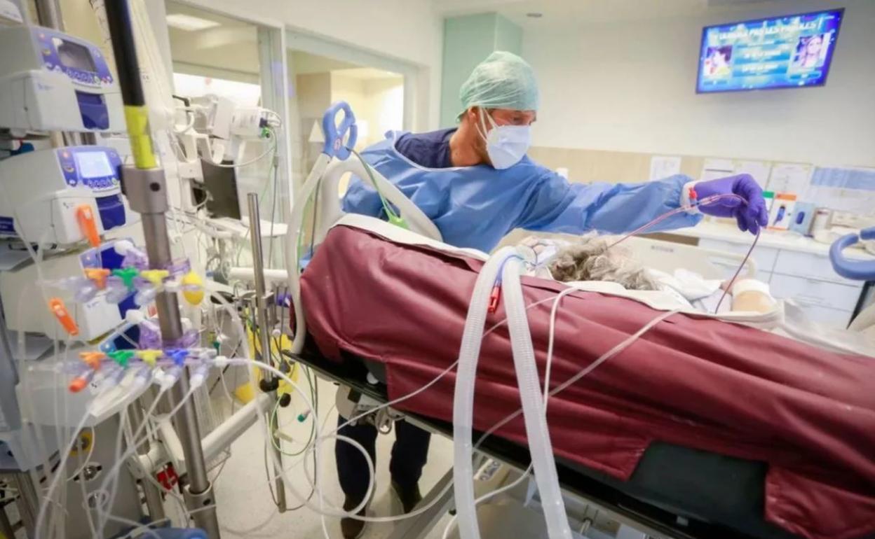 Imagen de un paciente covid en una unidad de críticos. 