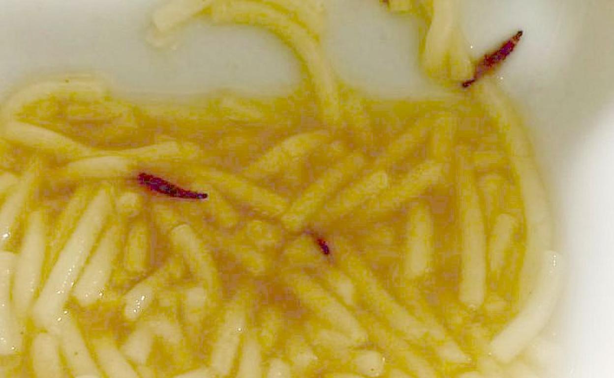 Imagen de un gusano en un plato de sopa del menú de personal del Hospital de León. 