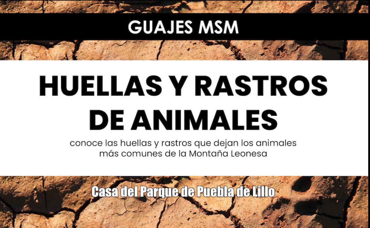 El programa 'Guaje MSM', que hace alusión a los 'guajes', aquellos niños que ayudaban en las duras tareas de la mina.