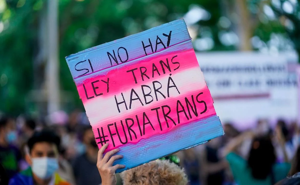 Una chica sostiene una pancarta en una manifestación centrada en el colectivo trans, a 28 de junio de 2021, en Madrid.