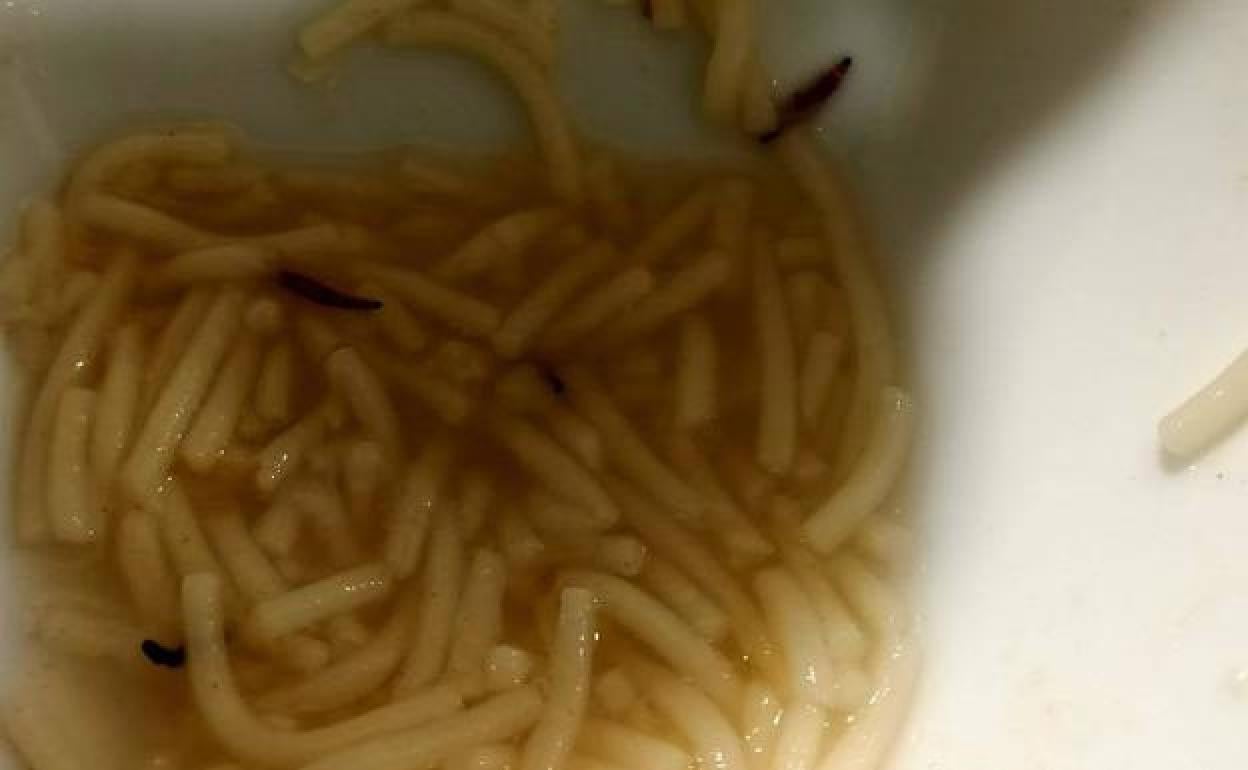 Gusanos aparecidos en la sopa de la cafetería del personal del hospital de León.