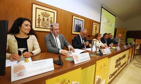 El vicepresidente e la Diputación, Aliider Presa (2I) junto al alcalde de Ponferrada, en la apertura de las jornadas.